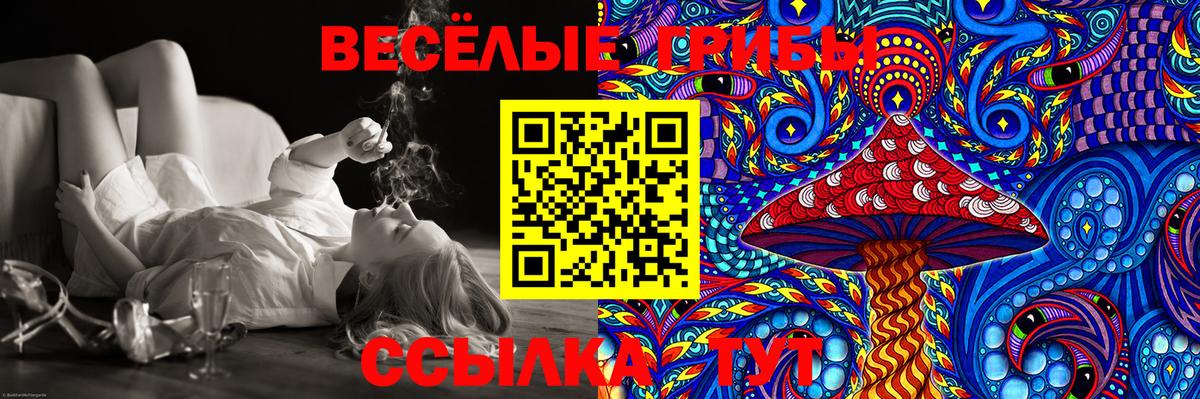 Псилоцибиновые грибы Psilocybine cubensis Гагарин