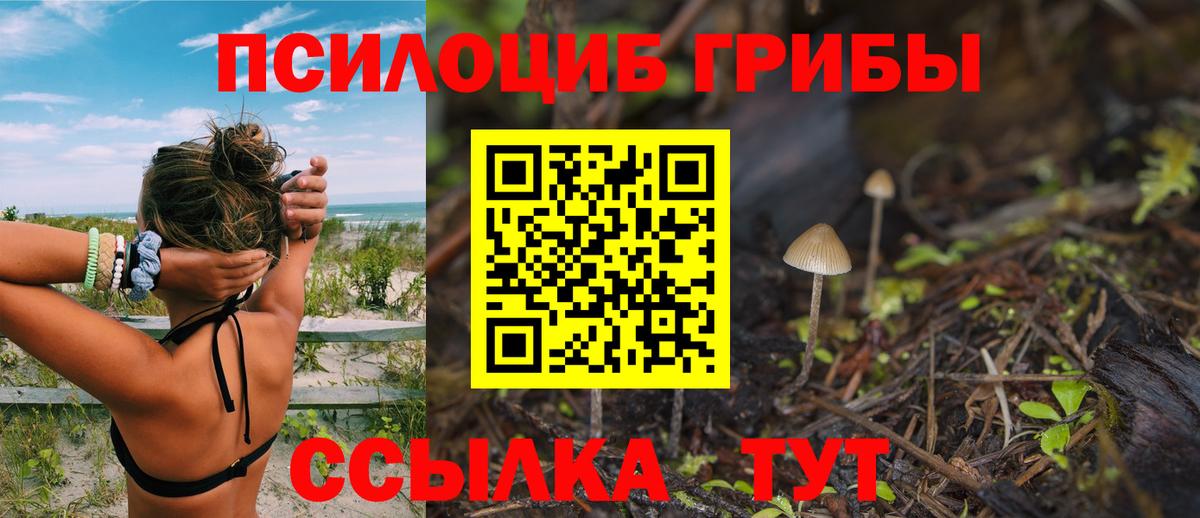 Псилоцибиновые грибы GOLDEN TEACHER  Галлюциногенные грибы ЛСД  Вход с VPN  Гагарин 